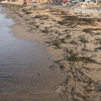 фото из отзыва ID 2043765