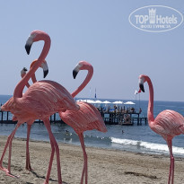 фото из отзыва ID 2043751