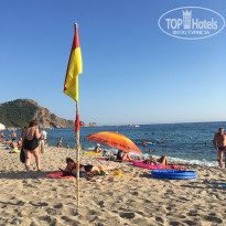 фото из отзыва ID 2043767