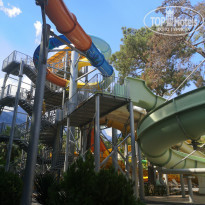 фото из отзыва ID 2040528