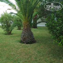 фото из отзыва ID 2043790