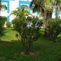 фото из отзыва ID 2043790