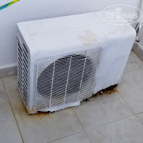 фото из отзыва ID 2043839