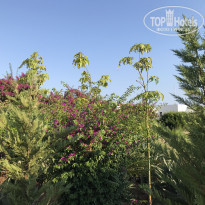 фото из отзыва ID 2043850