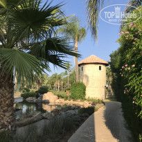 фото из отзыва ID 2043850