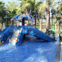 фото из отзыва ID 2043900