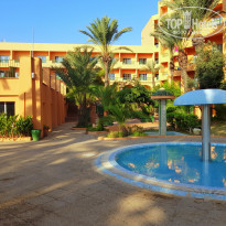 фото из отзыва ID 2043869