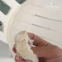 фото из отзыва ID 2044001