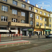 фото из отзыва ID 2043992