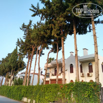 фото из отзыва ID 2043989