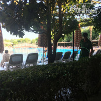 фото из отзыва ID 2044035