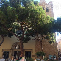 фото из отзыва ID 2044011