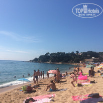 фото из отзыва ID 2044011