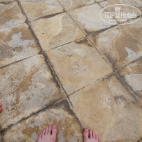 фото из отзыва ID 2044068