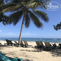 фото из отзыва ID 2043559