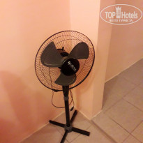 фото из отзыва ID 2044157