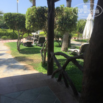 фото из отзыва ID 2044261