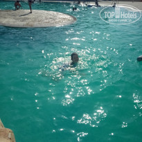 фото из отзыва ID 2044252