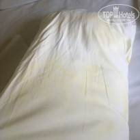 фото из отзыва ID 2044310