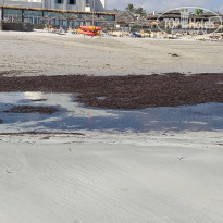 фото из отзыва ID 2044309