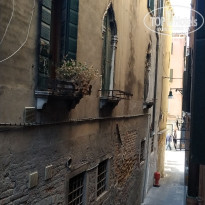 фото из отзыва ID 2044431