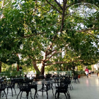 фото из отзыва ID 2044478