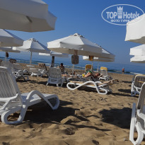 фото из отзыва ID 2044654