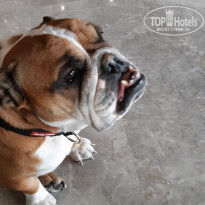 фото из отзыва ID 2044654