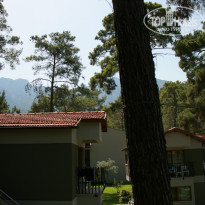 фото из отзыва ID 2044401