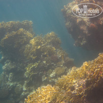 фото из отзыва ID 2044688