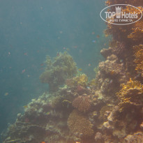 фото из отзыва ID 2044688