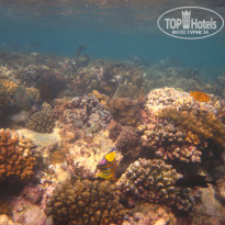 фото из отзыва ID 2044688