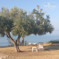 фото из отзыва ID 2044761