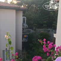 фото из отзыва ID 2044803