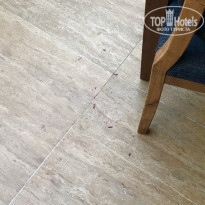 фото из отзыва ID 2044936