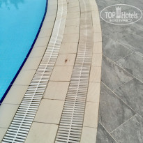 фото из отзыва ID 2044936