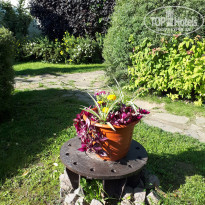 фото из отзыва ID 2044971