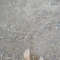 фото из отзыва ID 2044892