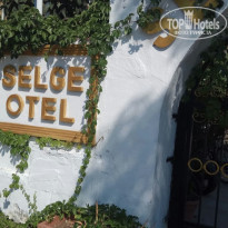 фото из отзыва ID 2045092