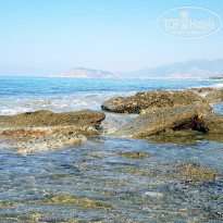 фото из отзыва ID 2044829