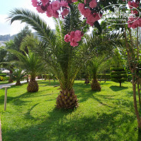 фото из отзыва ID 2045219