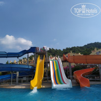 фото из отзыва ID 2045219