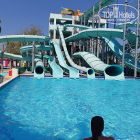 фото из отзыва ID 2045150