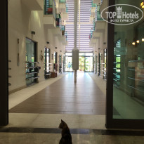 фото из отзыва ID 2044888