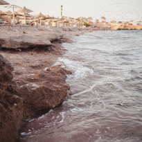 фото из отзыва ID 2045338