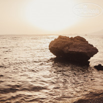 фото из отзыва ID 2045338