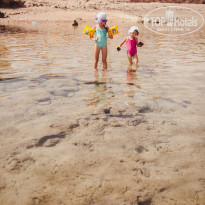 фото из отзыва ID 2045338