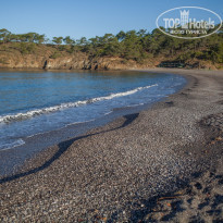 фото из отзыва ID 2045367