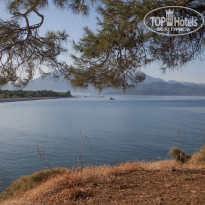 фото из отзыва ID 2045367