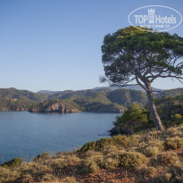 фото из отзыва ID 2045367